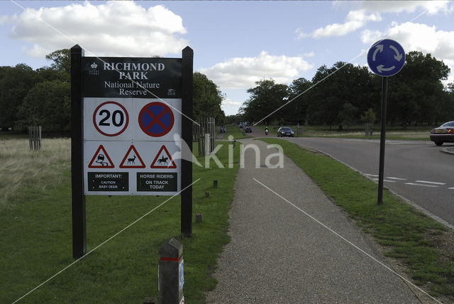 Richmond Park