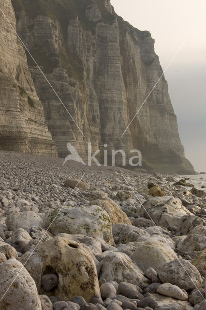 Seine-Maritime