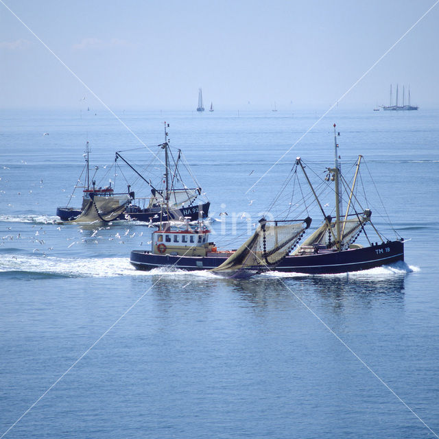 Waddensea