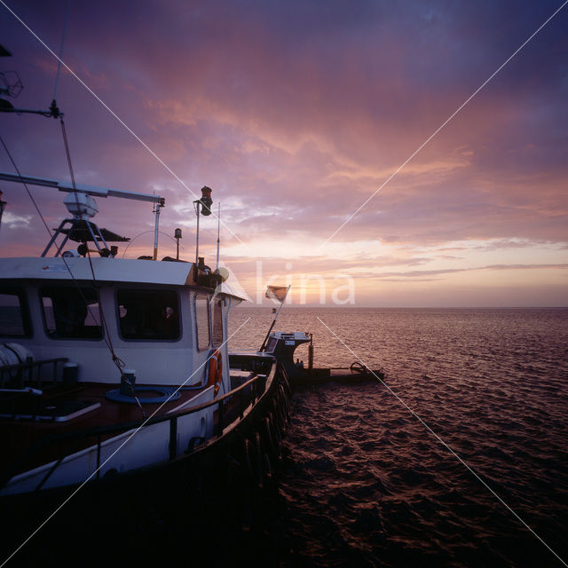 Waddenzee