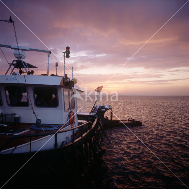 Waddenzee