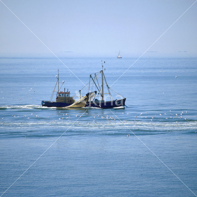 Waddenzee