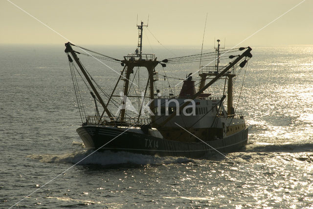 Waddenzee