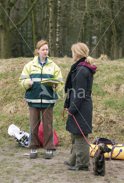 Hond (Canis domesticus)