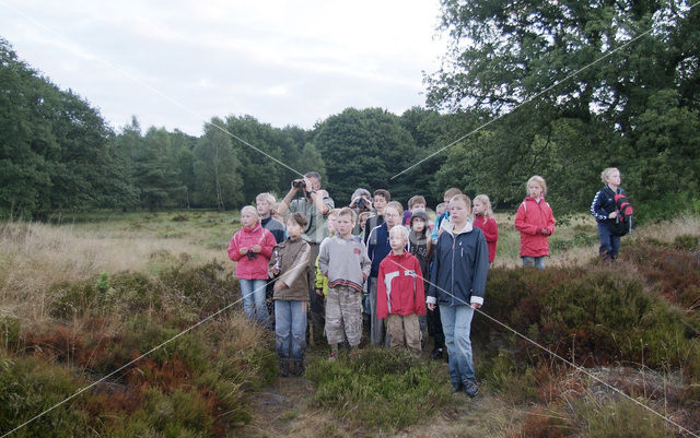 Nationaal Park De Hoge Veluwe