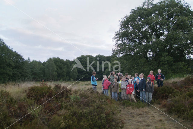 Nationaal Park De Hoge Veluwe