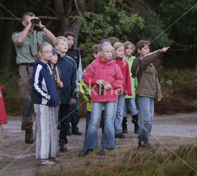 Nationaal Park De Hoge Veluwe