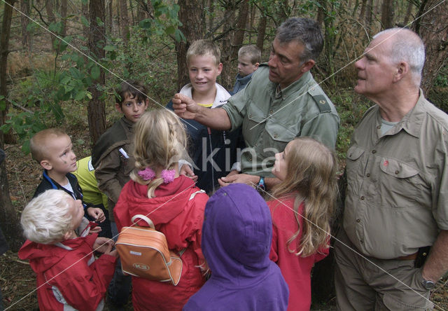 Nationaal Park De Hoge Veluwe