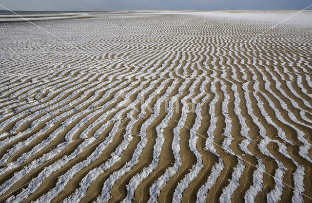 Nationaal Park Duinen van Texel