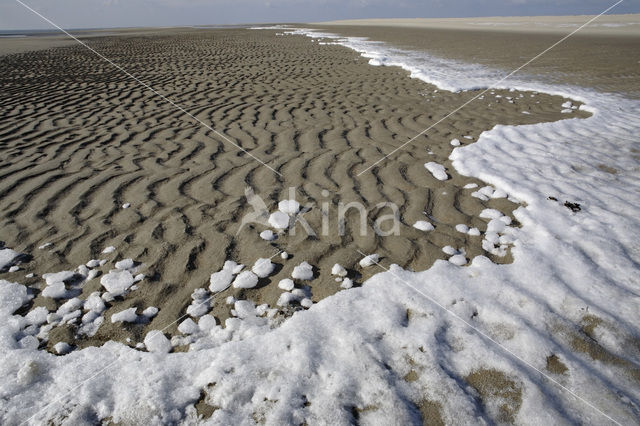 Nationaal Park Duinen van Texel