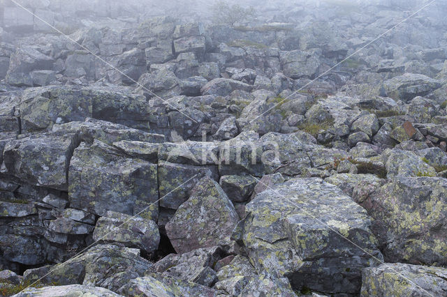 Fulufjället National Park