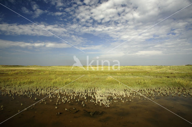 Nationaal park Schiermonnikoog