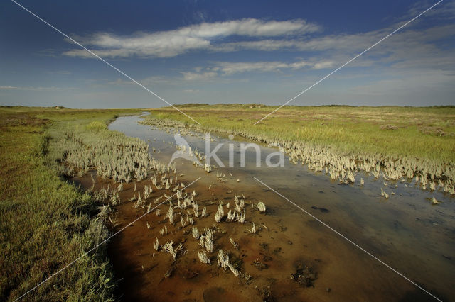 Nationaal park Schiermonnikoog