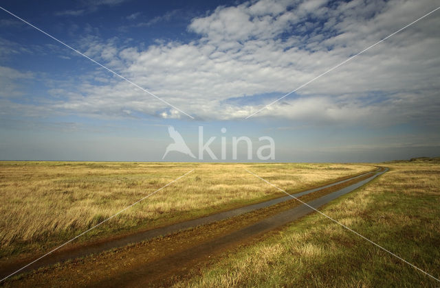 Nationaal park Schiermonnikoog