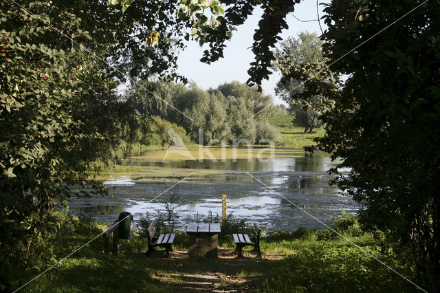 Nederrijn