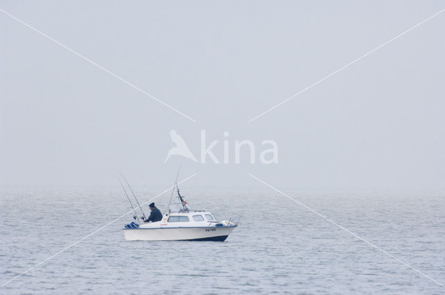 Noordzee