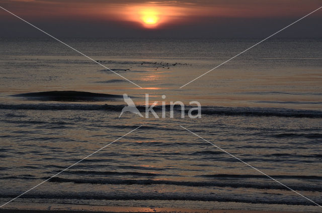 Noordzeestrand