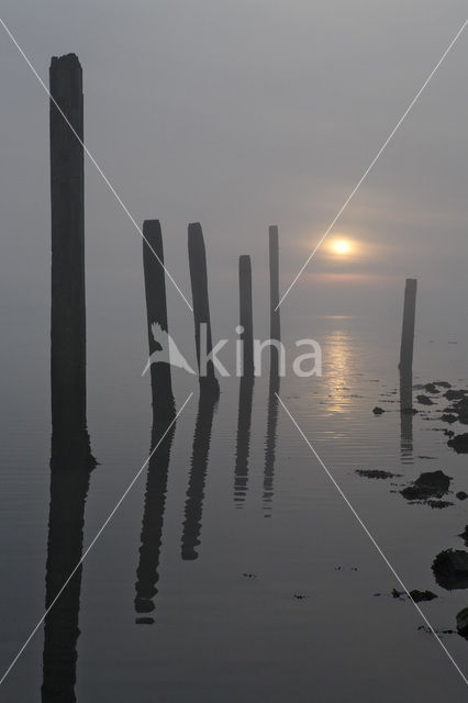 Waddenzee