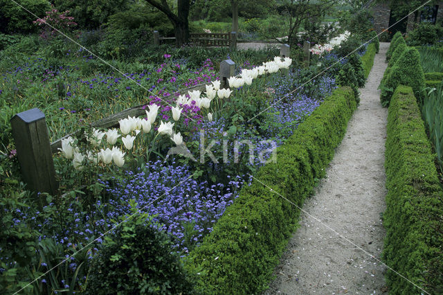 Garten Bender Lucenz