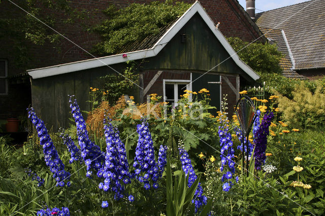 Garten Stenkamp