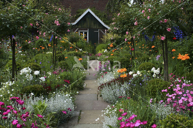 Garten Stenkamp