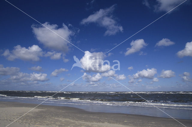 Noordzeestrand