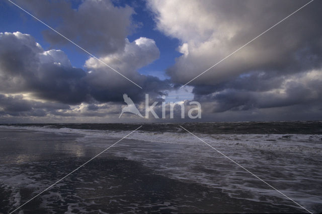 Noordzeestrand