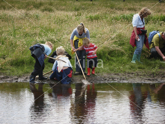 Beekbergerwoud