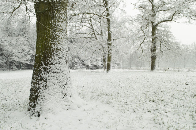 De Mortelen en Heerenbeek