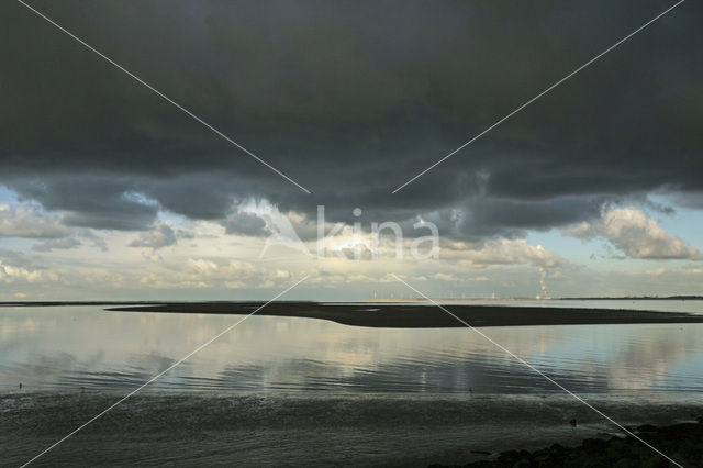 Duinen van Goeree