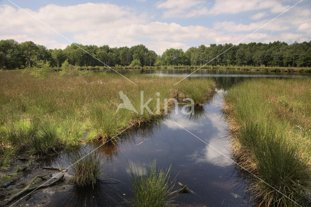 Hijkerveld