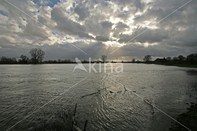 IJssel