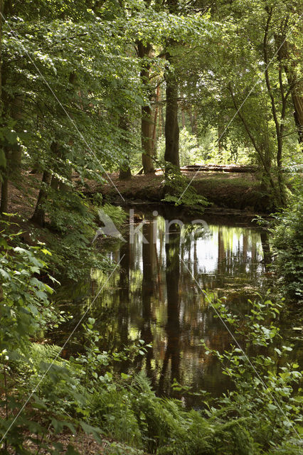 Landgoed Den Alerdinck