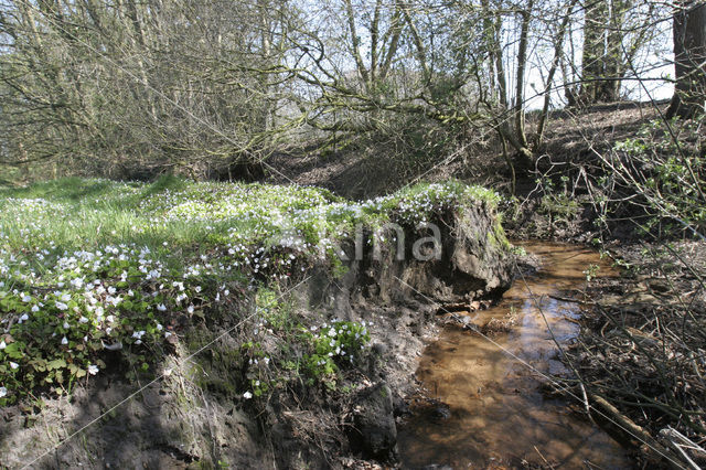 Landgoed Groot Brunink