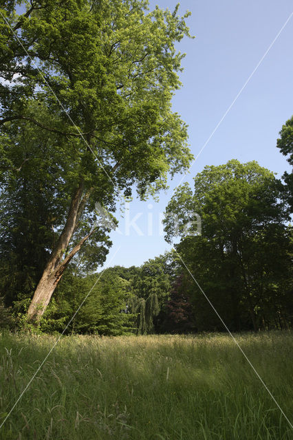 Landgoed Haarzuilens