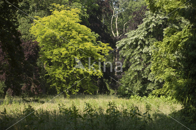 Landgoed Haarzuilens