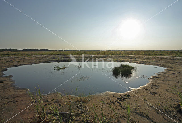 Mantingerveld