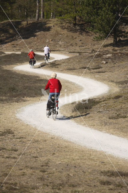 Nationaal Park Drents-Friese Wold