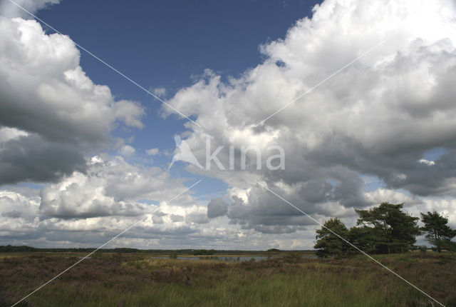 Nationaal Park Dwingelderveld