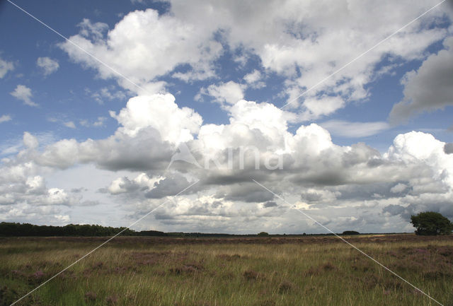 Nationaal Park Dwingelderveld