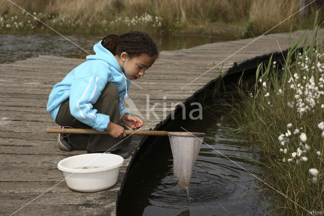 Nationaal Park Dwingelderveld