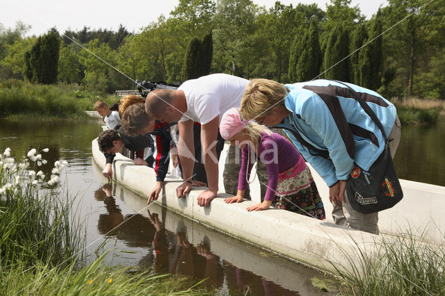 Nationaal Park Dwingelderveld