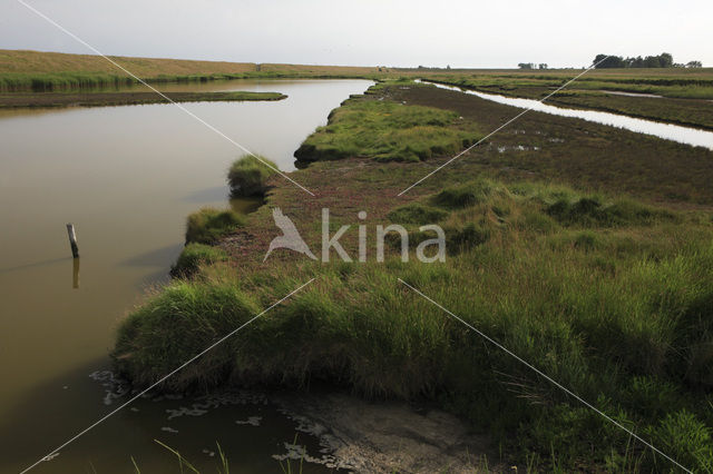 Nationaal Park Oosterschelde