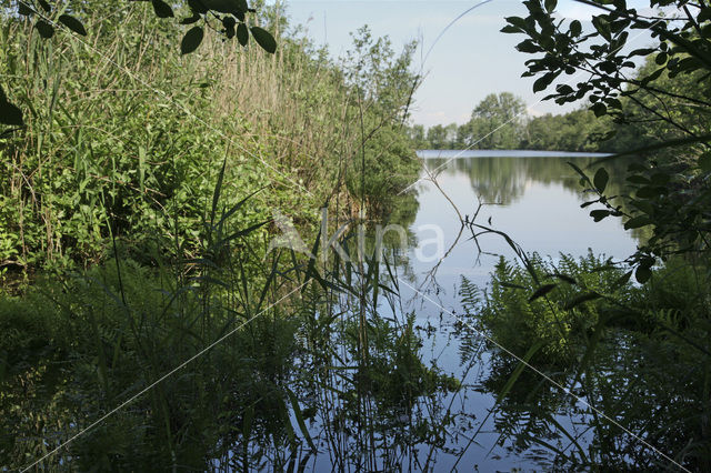 Nieuwkoopse Plassen