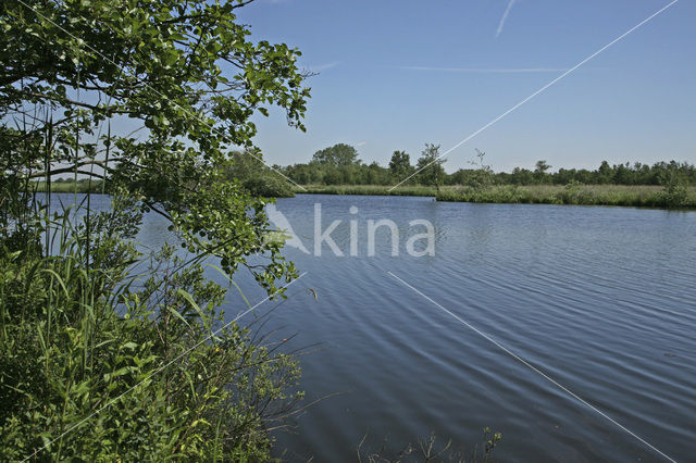 Nieuwkoopse Plassen