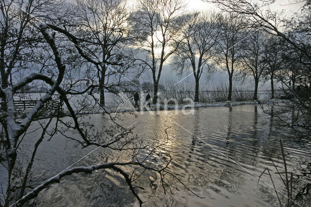 Nieuwkoopse Plassen