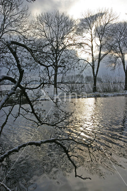 Nieuwkoopse Plassen