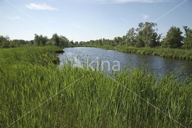 Nieuwkoopse Plassen