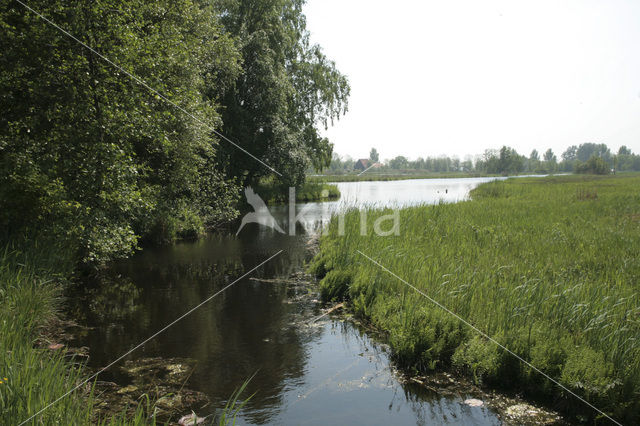 Nieuwkoopse Plassen