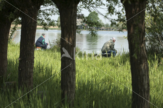 Reeuwijkse Plassen